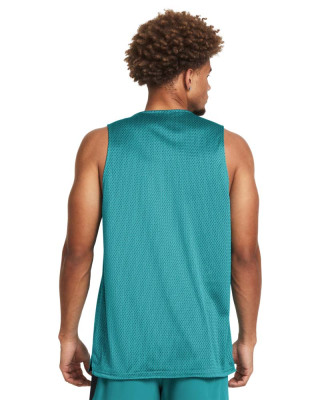 BASELINE REVERSIBLE TANK 