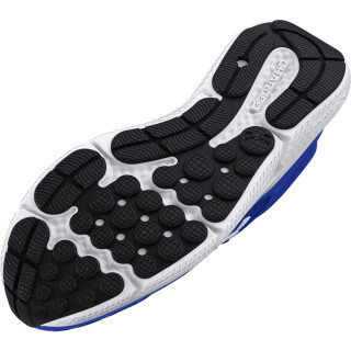 UA CHARGED ASSERT 10 