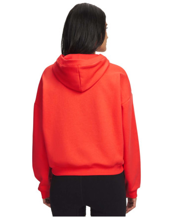 Dukserica UA ICON 96 HZ HOODIE 