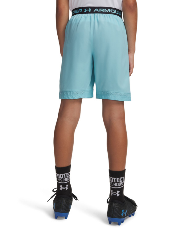 Šorc UA VANISH SHORTS 