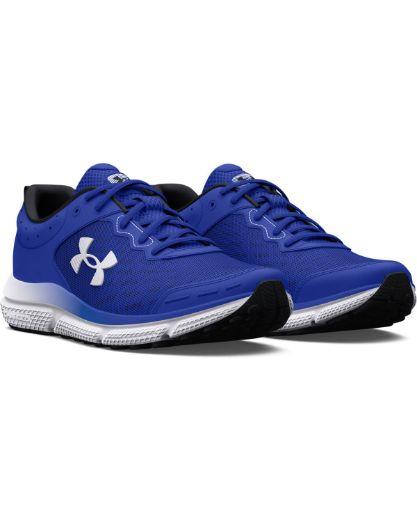 UA CHARGED ASSERT 10 