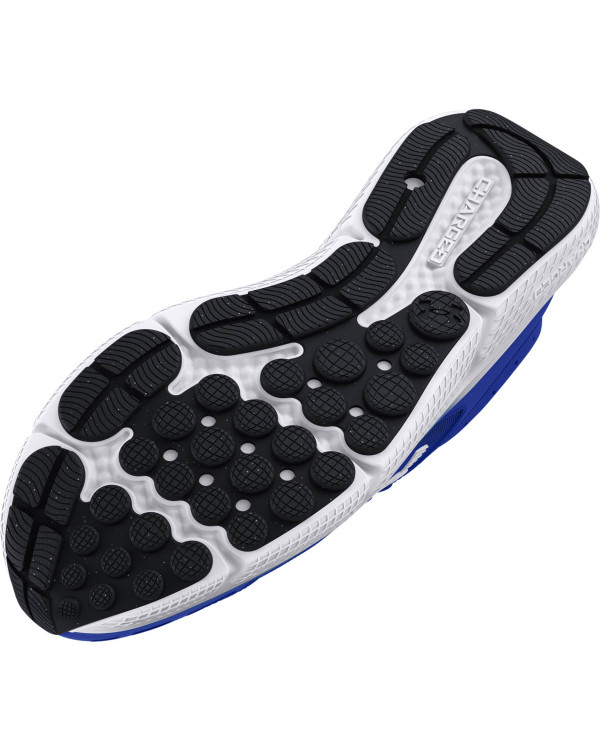 UA CHARGED ASSERT 10 