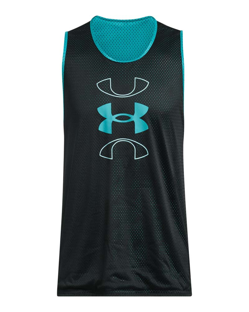BASELINE REVERSIBLE TANK 